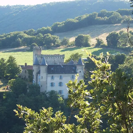 Bed & Breakfast De Campagne Laja Only 5 Min From Autoroute A75 3*